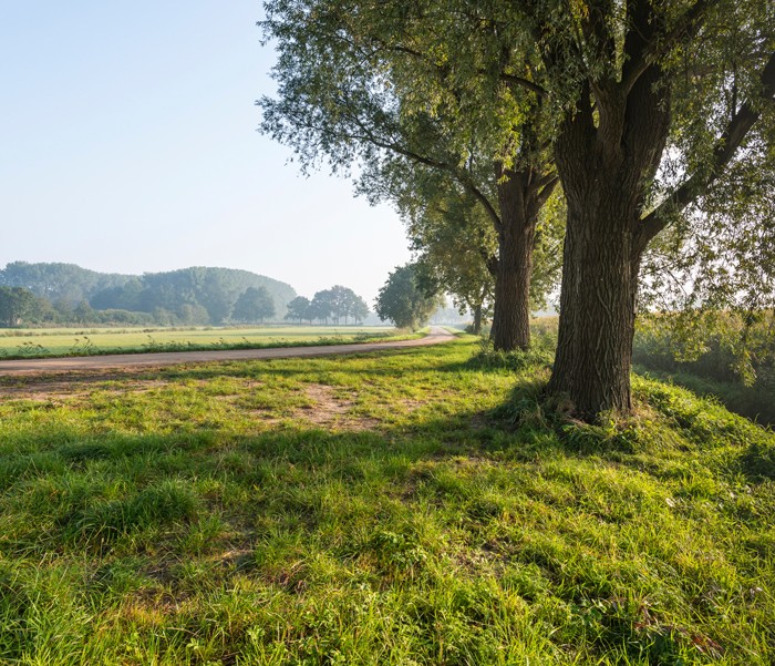 Natura 2000 Buurserzand & Haaksbergerveen