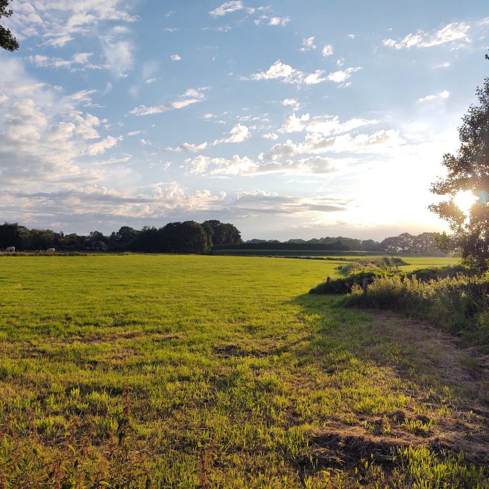 Regeling provinciale aankoop veehouderijen nabij natuurgebieden