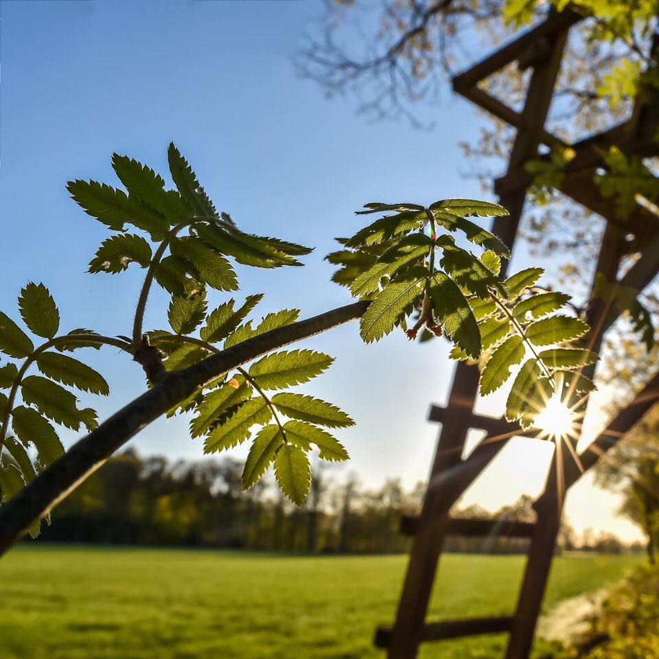 Regeling nieuwe landgoederen – diensten – landgoed