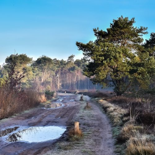 Fotograaf Marieke Dijkhof (9 van 98)